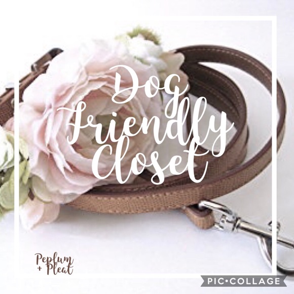 My closet is in a dog friendly home! π  - Picture 1 of 2